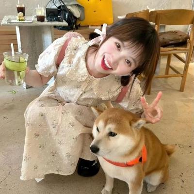 现在请开播